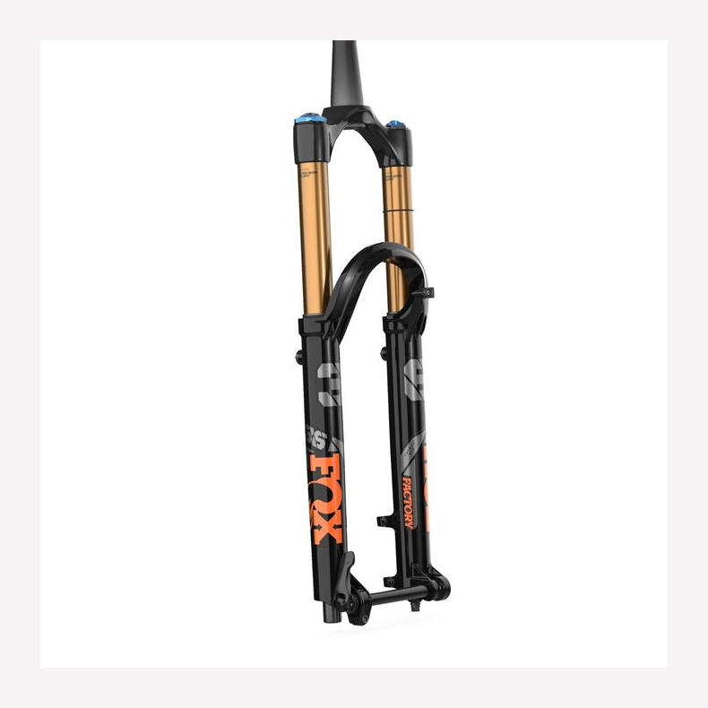 Fox, service 36 Grip2